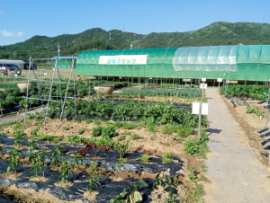 군위군 “도시민을 위한, 주말농장 분양”
