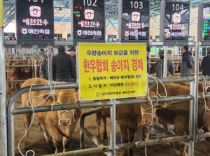 예천군 한우협회, 예천한우 품질 개선에 기여