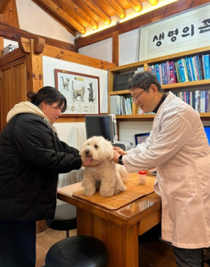 대구광역시, 봄철 광견병 예방접종 실시