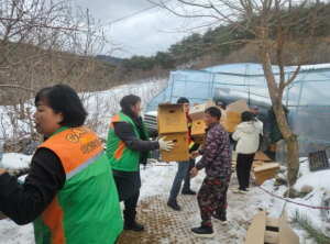 봉화군 지역자율방재단 대설피해 복구지원