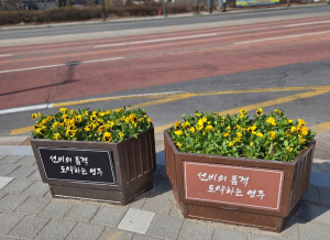 영주시, 봄꽃 힐링 거리로 시민들에게 봄을 선물하다