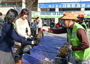 대구 동구, `내 나무 갖기 캠페인` 큰 호응