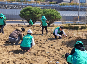 성주군 월항면 새마을회, 꽃밭 조성 및 승강장 청소 실시