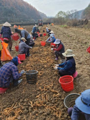 봉화군, 농촌 인력 수급 정책 성과 톡톡