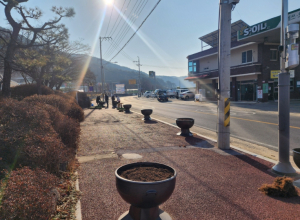 고령군 “2025 대가야 축제 앞두고”덕곡면 봄꽃으로 물들이다.