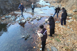 달서구, 수밭골천 반딧불이 복원 위한 생다슬기 방사