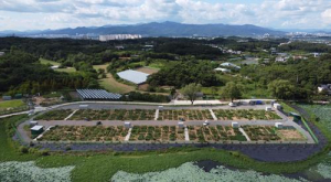 경산시, 도시민 위한 공영농장 24일 개장… 총 294구획 분양