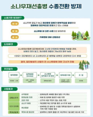 안동시, 소나무재선충병 극복 위한 `수종 전환 방제` 본격 추진