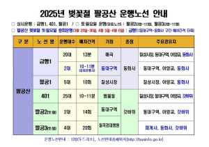 대구시, 팔공산 벚꽃구경은 편리한 시내버스를 이용하세요!