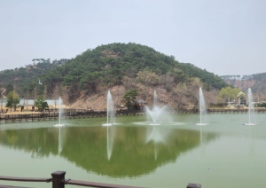 포항시 도심 속 힐링 공간 포항 창포동 마장지, 4월 1일부터 분수 운영