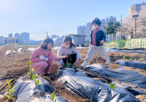 김천시 ‘행복도시텃밭’에서 마음 건강 되찾아요