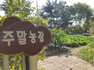 대구공공시설관리공단 북부사업소, 도심 속 힐링공간‘주말농장’개장