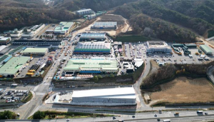 안동시농수산물도매시장 도매시장법인 피지정자 지위확인 가처분 기각결정