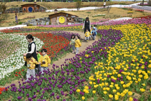 도심 속 정원, 봄꽃으로 물들다 달성군 다사광장·세천늪테마정원 새 단장