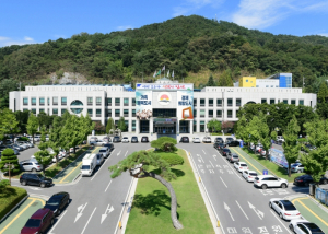 “김천 호두, 뇌 건강 지킨다”