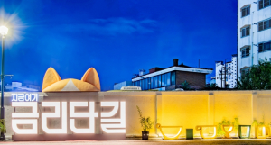 구미 금리단길, 전국 7곳만 뽑힌 `동네상권발전소 사업` 선정