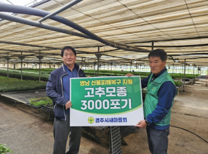 경주시새마을회, 산불피해 농민들이 일상으로 돌아갈 수 있도록 고추 모종 전달