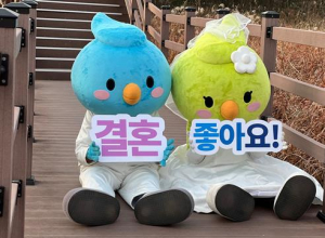 달서구, 달달한‘연애·결혼·중매 사연’공모전 개최