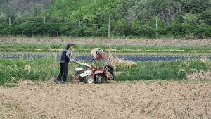 울진군, 고추 과제포 현장실습교육