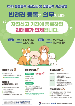 대구광역시, 2025년 상·하반기 반려견 동물등록 자진신고 기간 운영