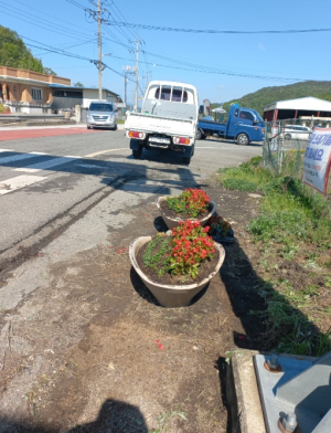 김천시 남면 새마을협의회, 꽃으로 전하는 봄소식
