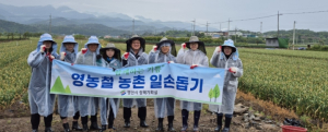 영천시 정책기획실, 농촌일손돕기에 앞장