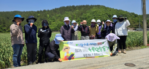 영천시 청렴감사실, 농촌 일손돕기 전개