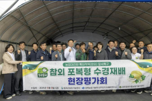 ˝참외를 물로 키운다?˝ 칠곡, 전국 첫 `수경재배` 본격 도입