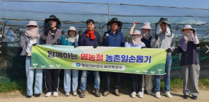 영천시 보건위생과, 영농철 농촌일손돕기 실시 일손 부족한 포도 농가에서 구슬땀 흘려