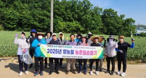 영천시 축산과, 영농철 농촌일손돕기 나서