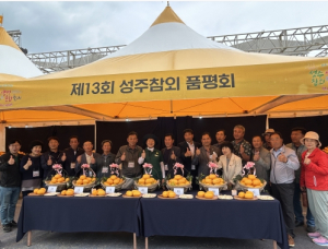 성주군, 제13회 성주참외 품평회 개최