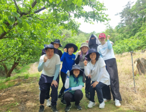 김천시 열린민원과, 농촌 일손 돕기 봉사활동 펼쳐