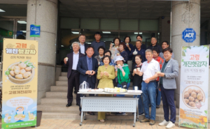 고령 개진감자, 동대구서 직판행사...“쫀득한 식감에 고소한 맛”