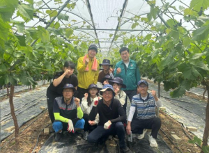 김천시 복지기획과, 농번기 맞아 농촌 일손 돕기 앞장 -