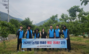 청도군, 과수 돌발해충 정밀 예찰… 공동방제로 확산 사전 차단