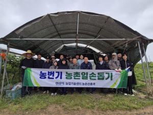 경산시 농촌진흥과, 농번기 농촌일손돕기에 나서
