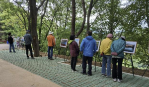 2025년 세계 습지의 날 기념, `문경돌리네습지 사진전` 개최