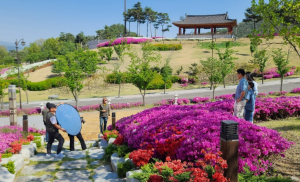 경주시, ‘다둥이 가정 행복 사진전’ 개최…가족 친화 분위기 조성
