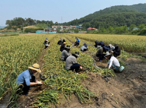 고령군 우곡면·환경과·건설과·축산정책과 공무원들