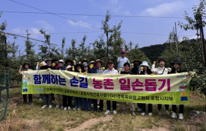 포항시 건축디자인과·공동주택과, 농번기 과수농가에 일손 보태