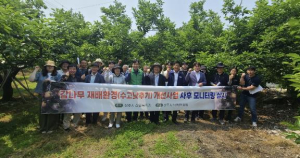 상주시, 감 수익 증대를 위한 `감나무 수고 낮추기 사업` 사후 모니터링 실시