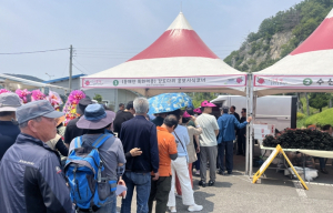 ‘강도다리 물회’ 관광객 입맛 사로잡아…포항 수산물 매력 알렸다