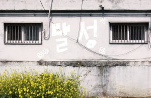 달성문화도시센터, ‘청춘문화방 - 사는 게 참, 꽃 같네’ 성료