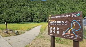 울릉군, ‘나리분지 보리밭 조성, 치유의 공간으로 인기’