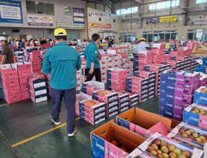 영천시 농산물도매시장, 출하농산물 안전성 검사 시행