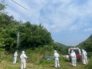 울진군, 약충기 돌발해충 유관기관 협업공동방제 실시