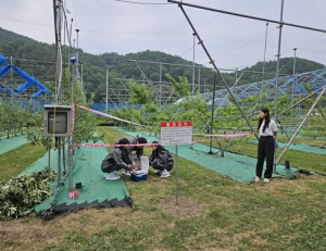 의성군, 화상병 대응 모의훈련 실시... 현장 대응능력 강화