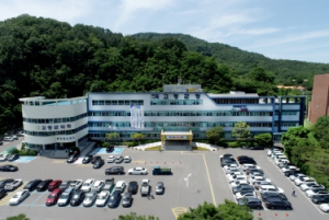 고령군, 국가지정 문화유산 정비사업 국가지원 요청