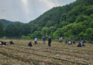 김천시 농업기술센터, 영농철 일손 부족 농가에 힘 보태