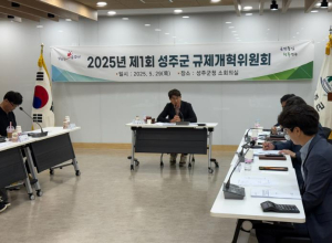 성주군, 상반기 규제혁신·적극행정 분야 우수공무원 선발